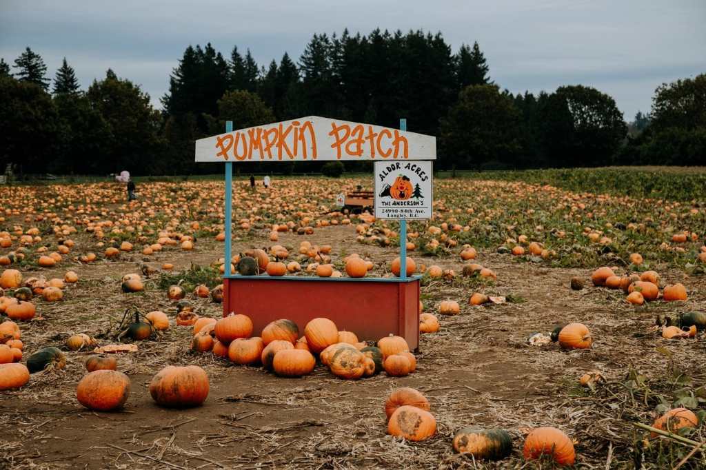 Farms to Visit This Fall Around Vancouver, BC